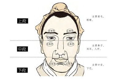 天生长八字胡的男人面相分析命运运势