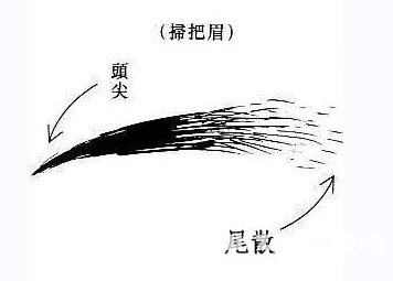 小扫帚眉面相好吗扫帚眉的男女命解析