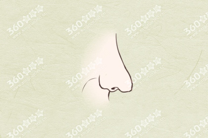 鼻子看相二十种鼻形大全图解