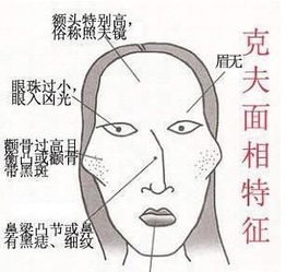 女人面相脸型分析图解图片
