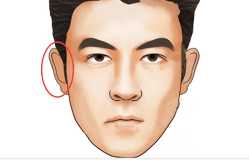 牛鼻的男人有什麼面相特徵牛鼻代表富貴嗎