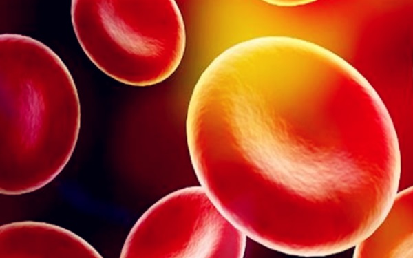 ABO血型是什么意思 指的是一个血型系统