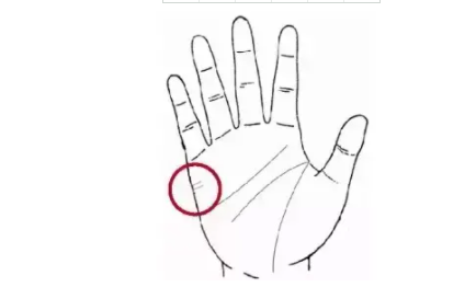 女人手掌的三条线正确图解 手掌的三条线正确图解